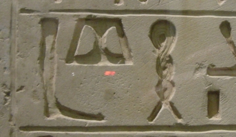 Egyptian DD
